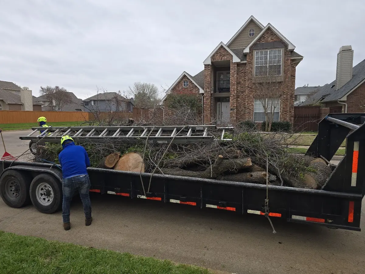 Expert Tree Fertilization with proper safety equipment in Kingston